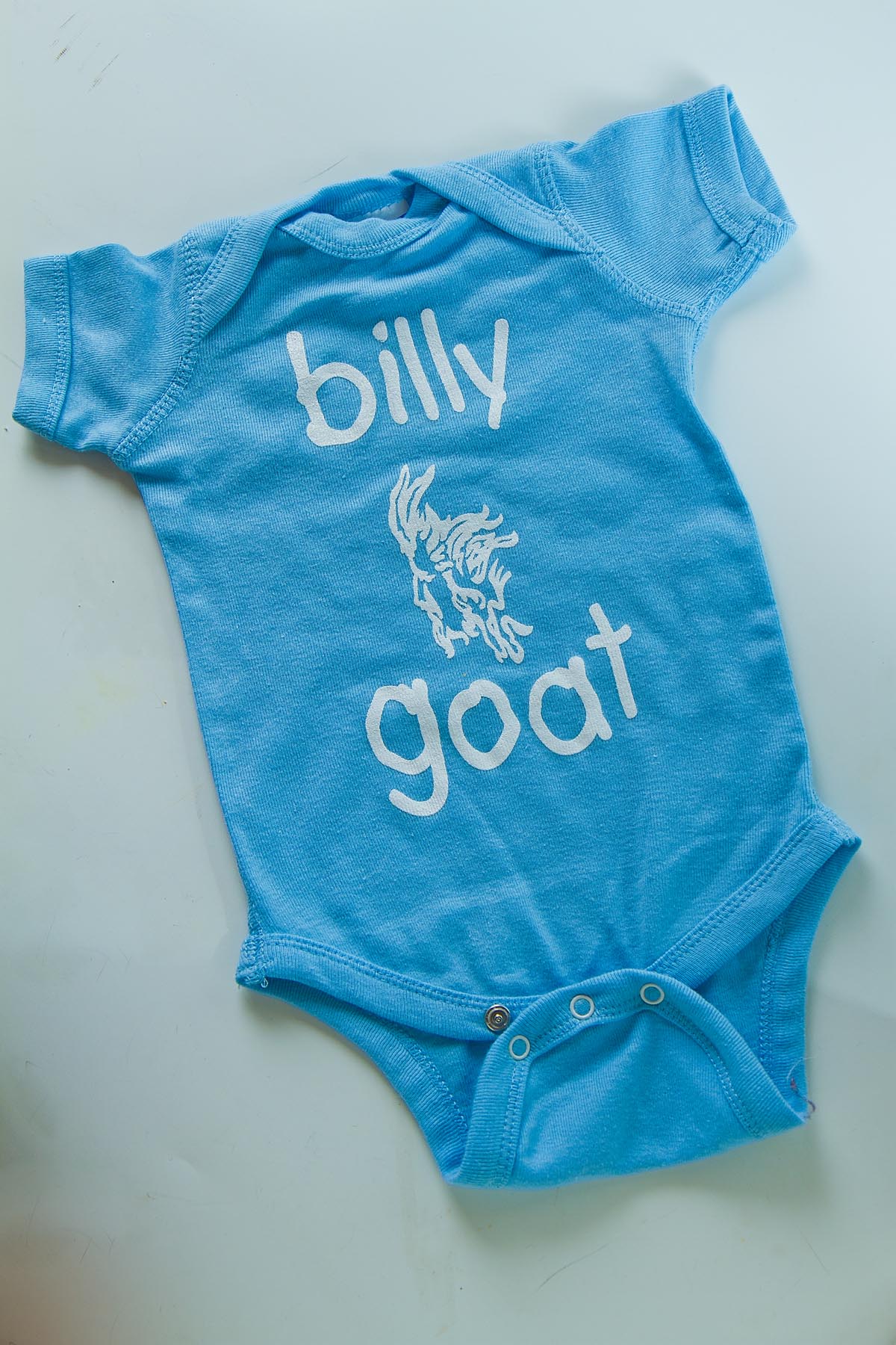 billygoat-1_279web