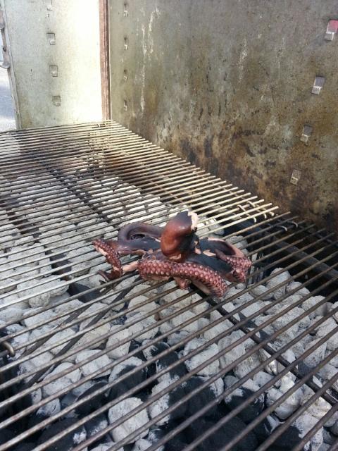 octo2