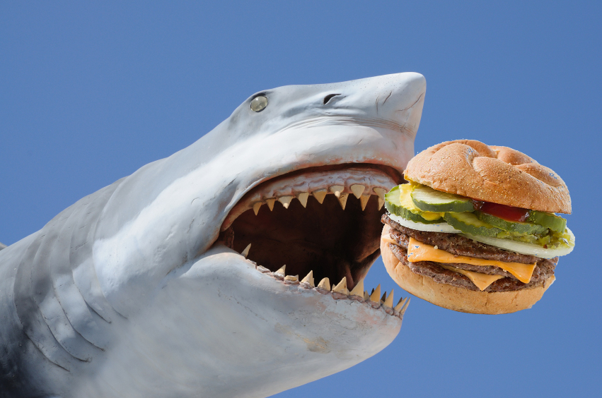sharkweek