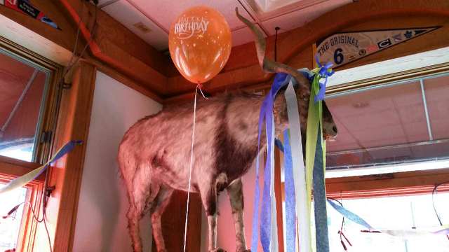 party-5