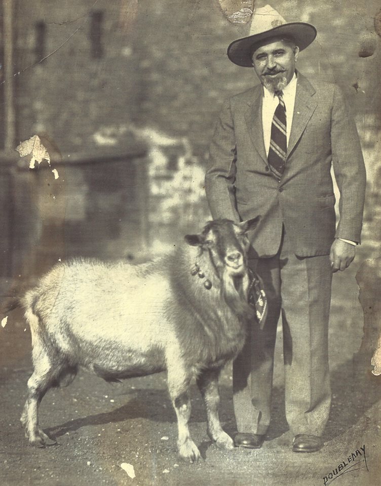 originalgoat