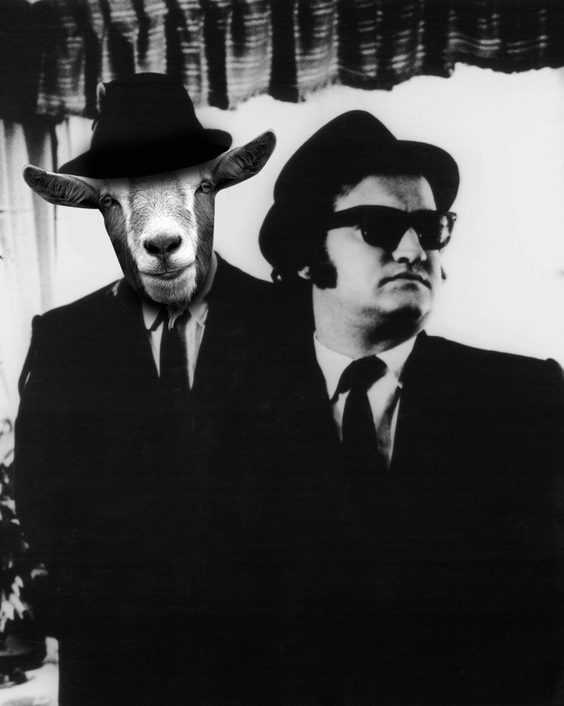 Blues_Goat