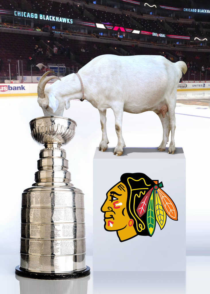 congratshawks