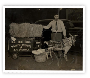 goat-with-cart